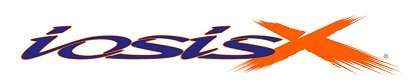 Ford iosis X, 2006