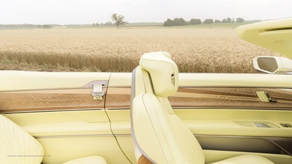 Close up view of Cadillac SOLLEI driver seat interior, featuring wood door decor with Sunburst motif.