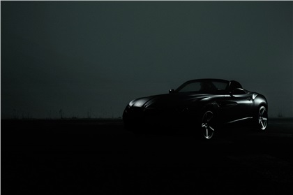 BMW Zagato Roadster, 2012 - Teaser