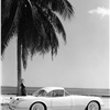 Chevrolet Corvette Convertible Coupe, 1954