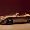 BMW Concept Skytop, 2024