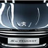 5 By Peugeot Concept Front Grille 