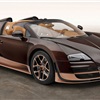 Bugatti Veyron 'Rembrandt Bugatti' (2014)