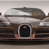 Bugatti Veyron 'Rembrandt Bugatti' (2014)