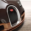 Bugatti Veyron 'Rembrandt Bugatti' (2014) - Horseshoe