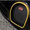 Bugatti Veyron Grand Sport Vitesse 'One of one' (2014) - Radiator Grille