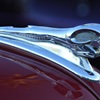 1948 Dodge - Ram Hood Ornament - Photo: Jill Reger