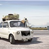 P4ND4 - 1977 Fiat 600S - Rides of the Wild by Frédéric Müller