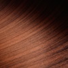 Rolls-Royce Arcadia Droptail (2024) – Wood and Leather