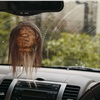 Shrunken head