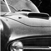 Nardi Raggio Azzurro I (Vignale), 1955