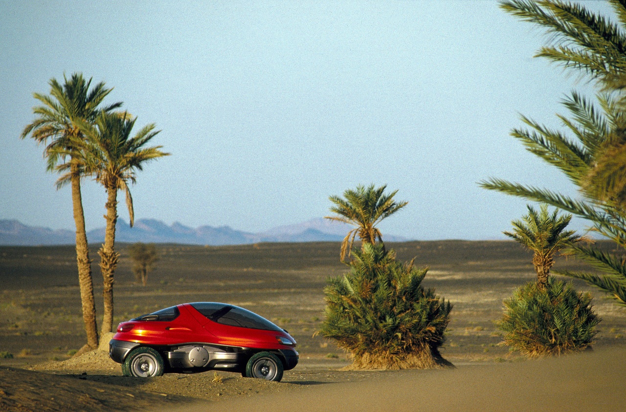 Renault Racoon, 1993