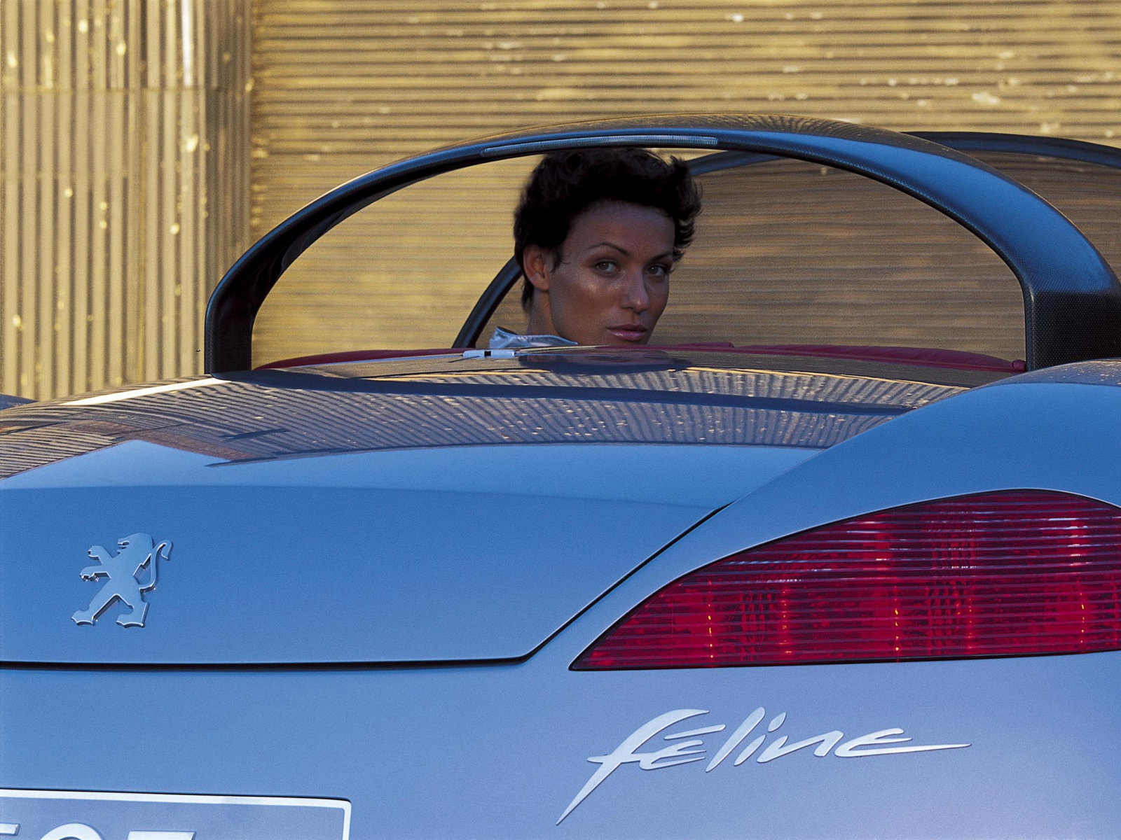 Peugeot 607 Feline Concept, 2000