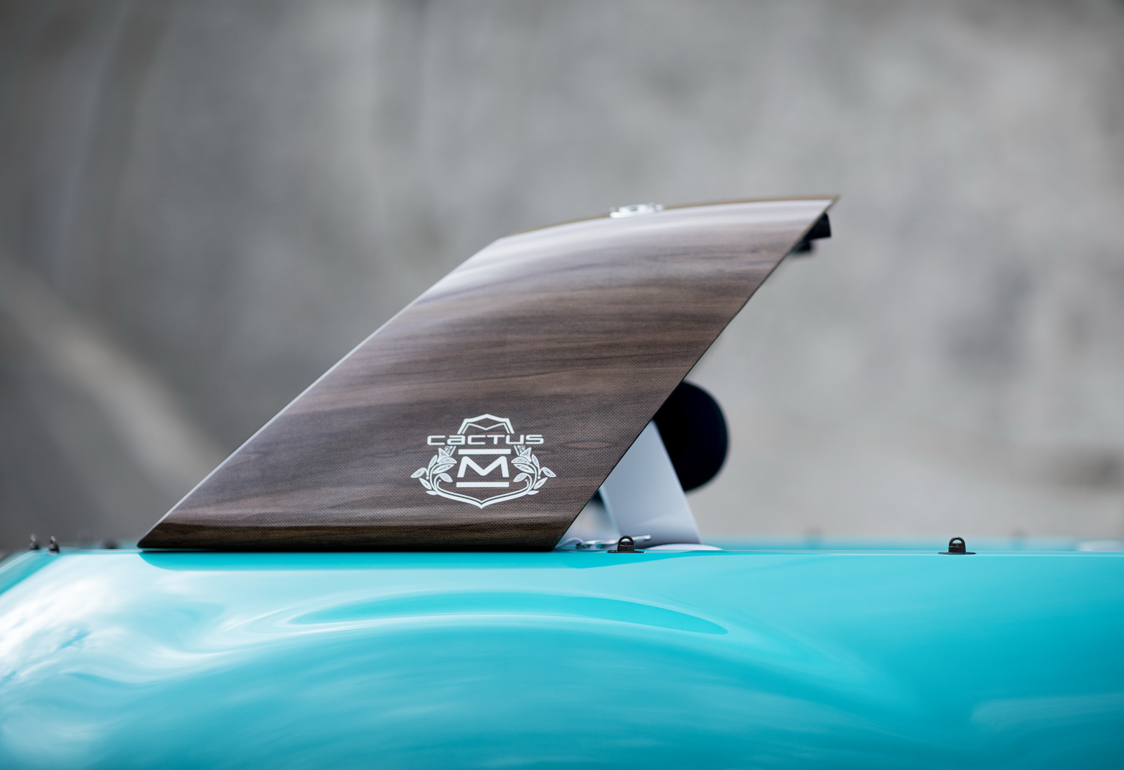 Citroen Cactus M Concept, 2015