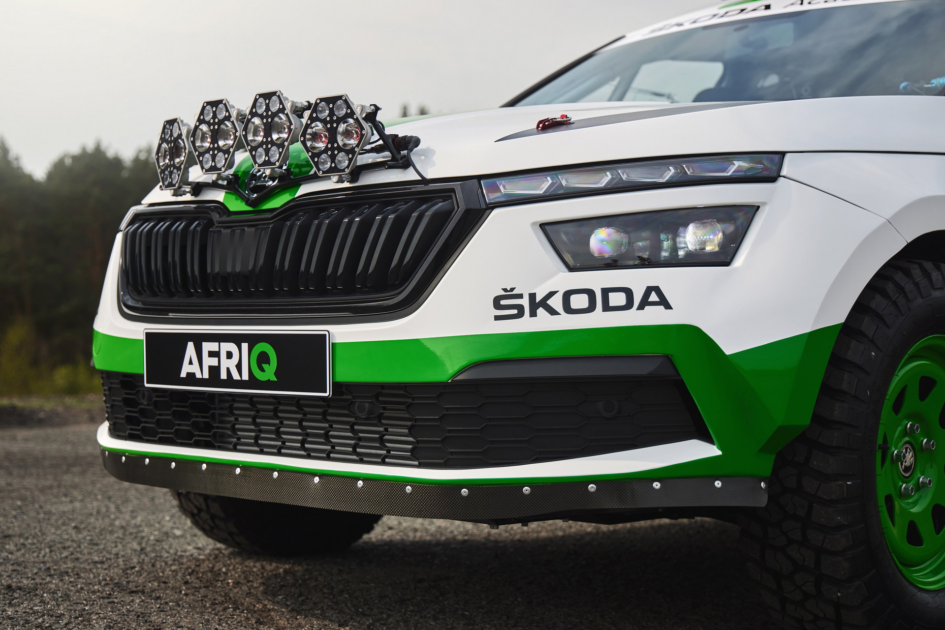 Skoda Afriq Concept, 2022