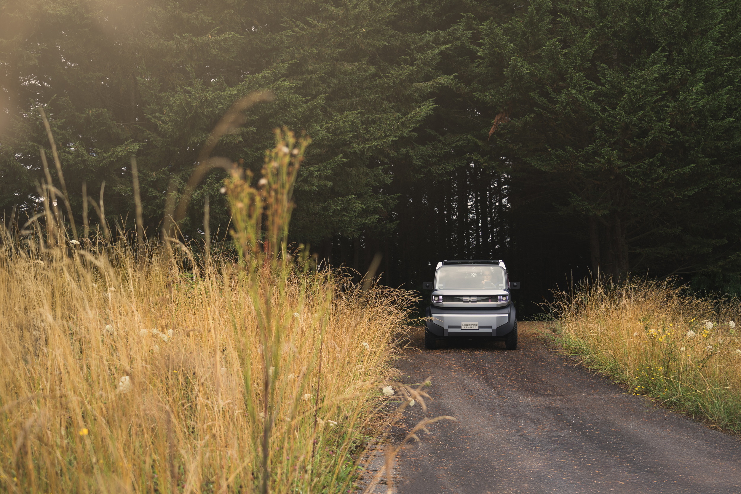 Dacia Hipster Concept, 2025