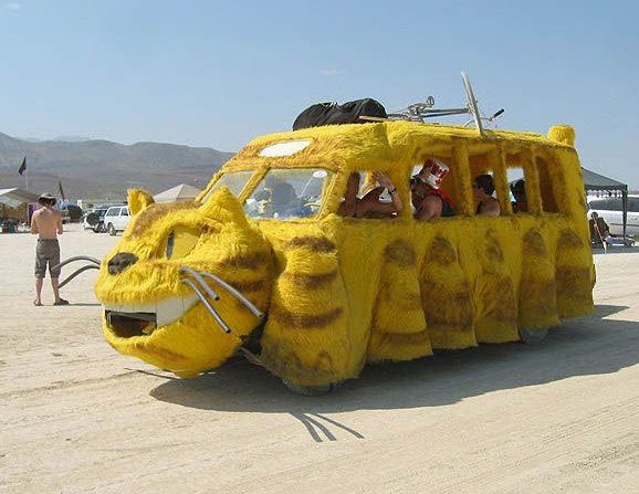 Киса, ку-ку!