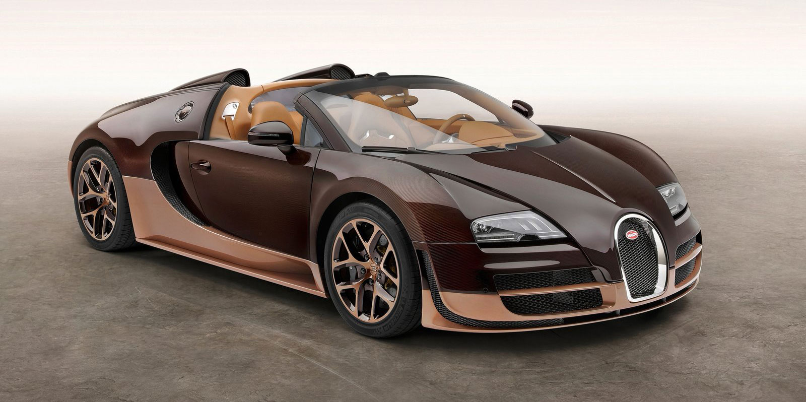 Bugatti Veyron 'Rembrandt Bugatti' (2014)