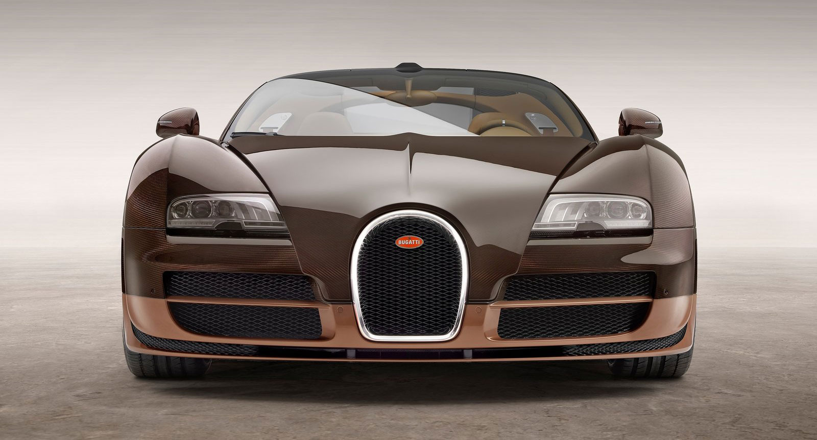 Bugatti Veyron 'Rembrandt Bugatti' (2014)