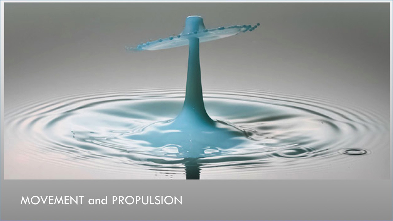 LA Design Challenge (2013): Changfeng La Brea Concept