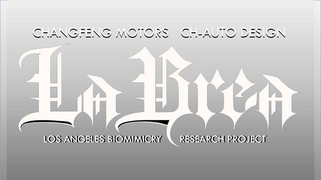 LA Design Challenge (2013): Changfeng La Brea Concept