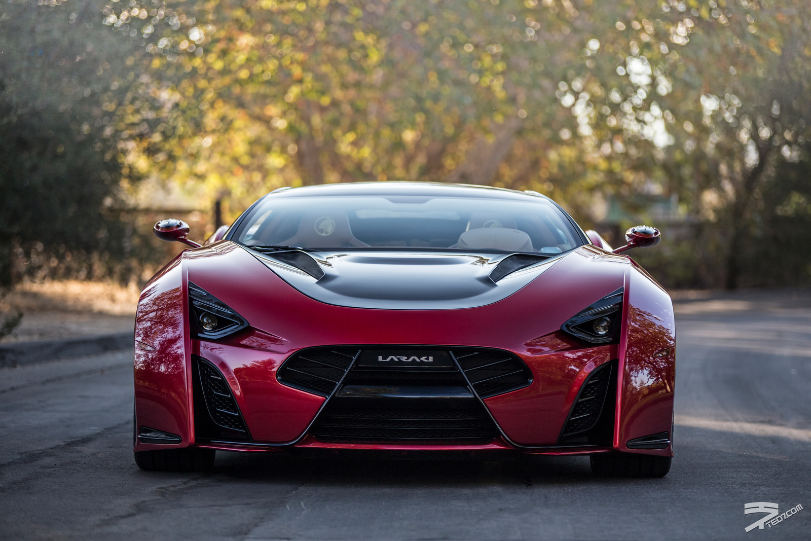 Laraki Epitome (2013) - Photo: Ted7