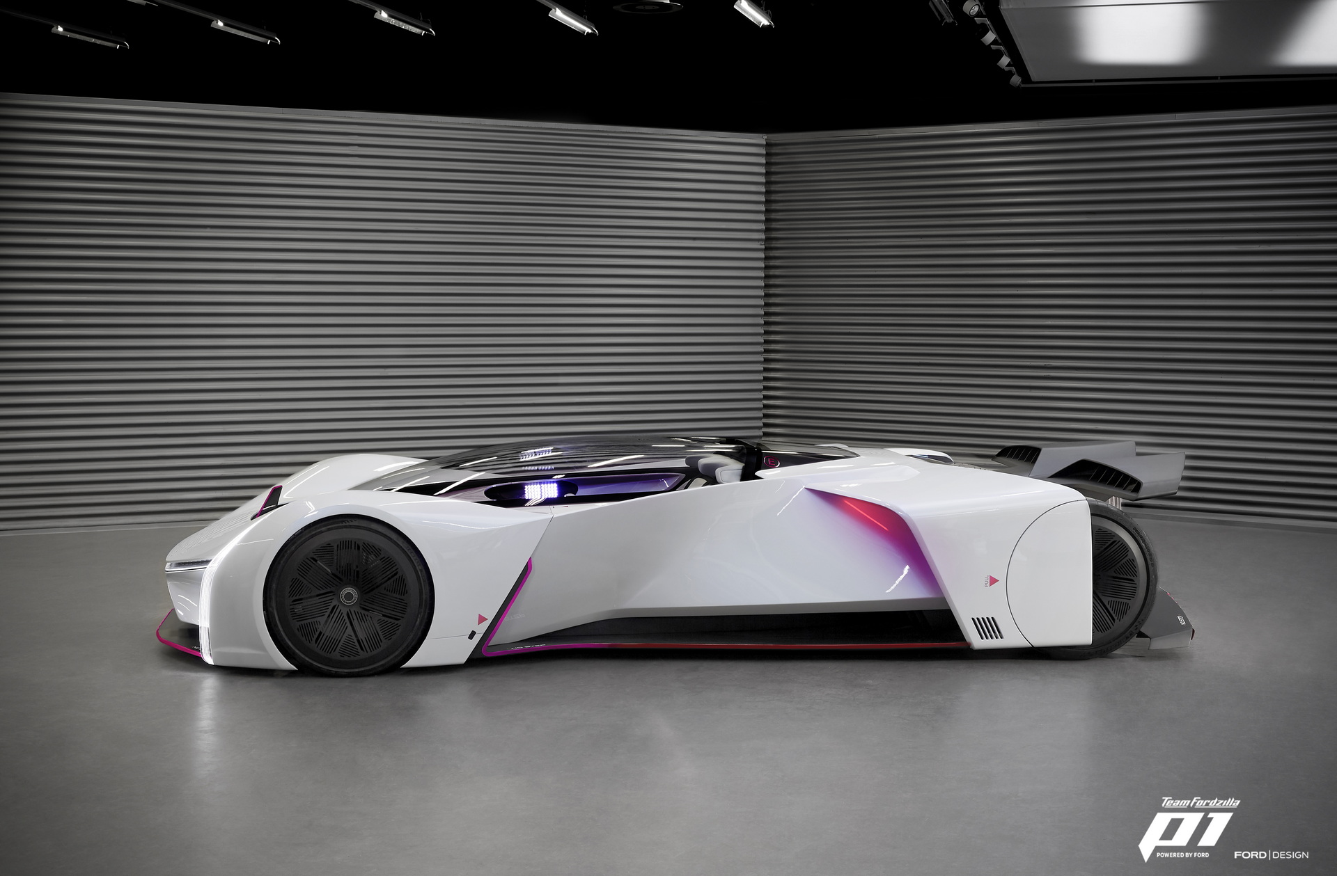 Team Fordzilla P1 (2020)