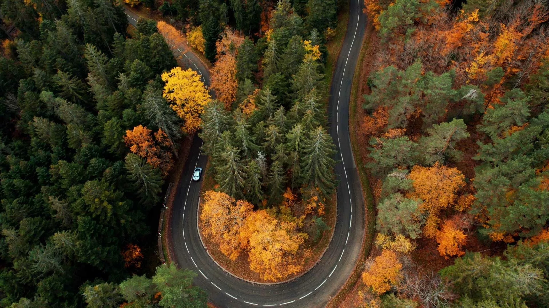 Bugatti Chiron Profileé (2022)