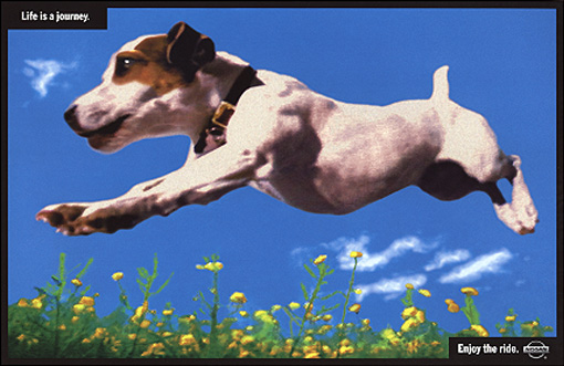 Nissan Journey, 1998