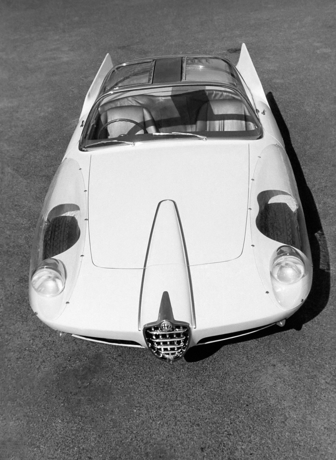 Alfa Romeo Super Flow I (Pininfarina), 1956