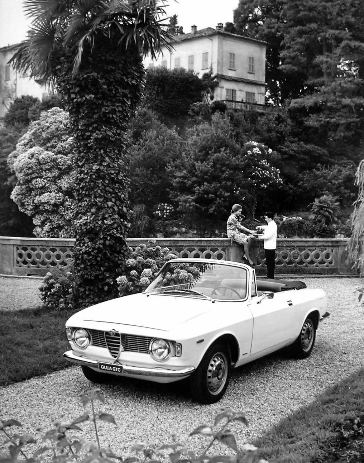 Alfa Romeo Giulia GTC (Touring), 1965