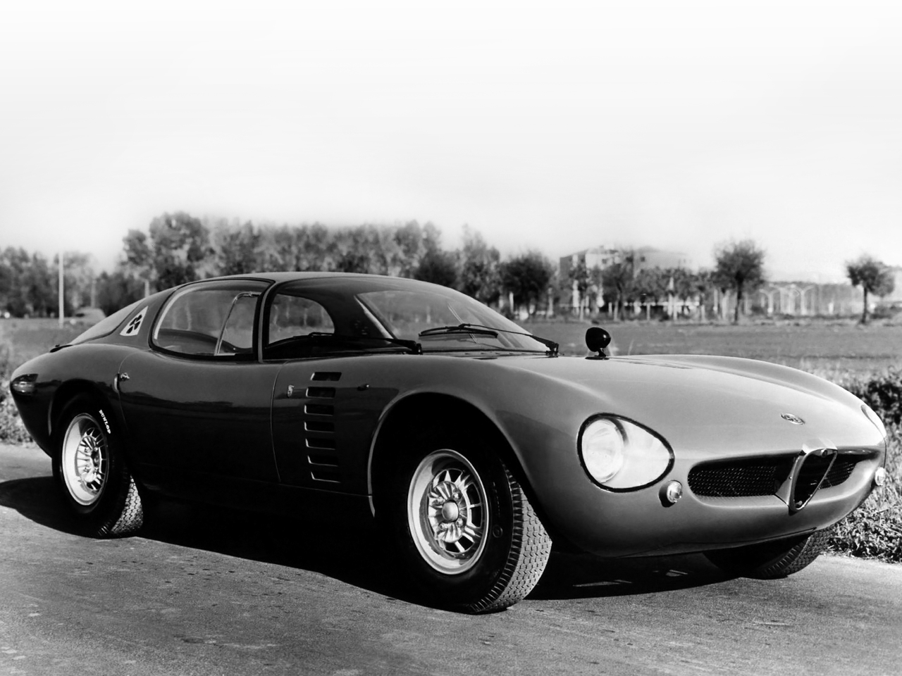 Alfa Romeo Canguro (Bertone), 1964