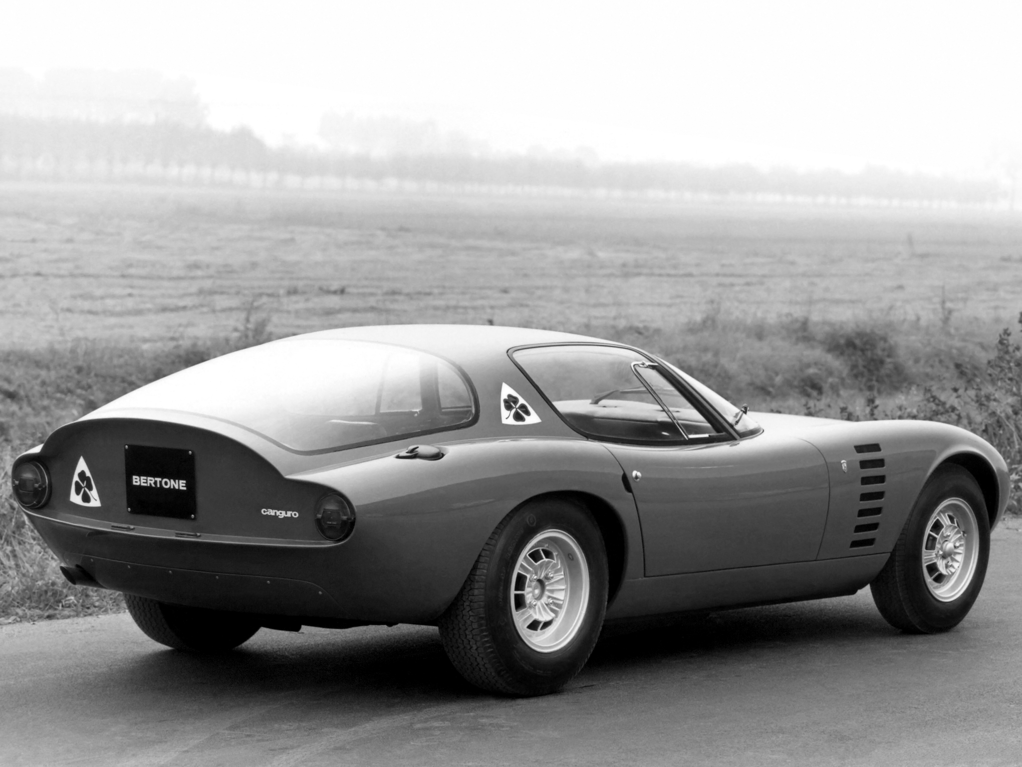Alfa Romeo Canguro (Bertone), 1964