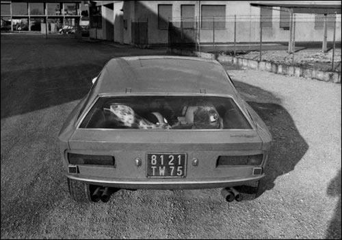 Lamborghini 400GT Flying Star II (Touring), 1966