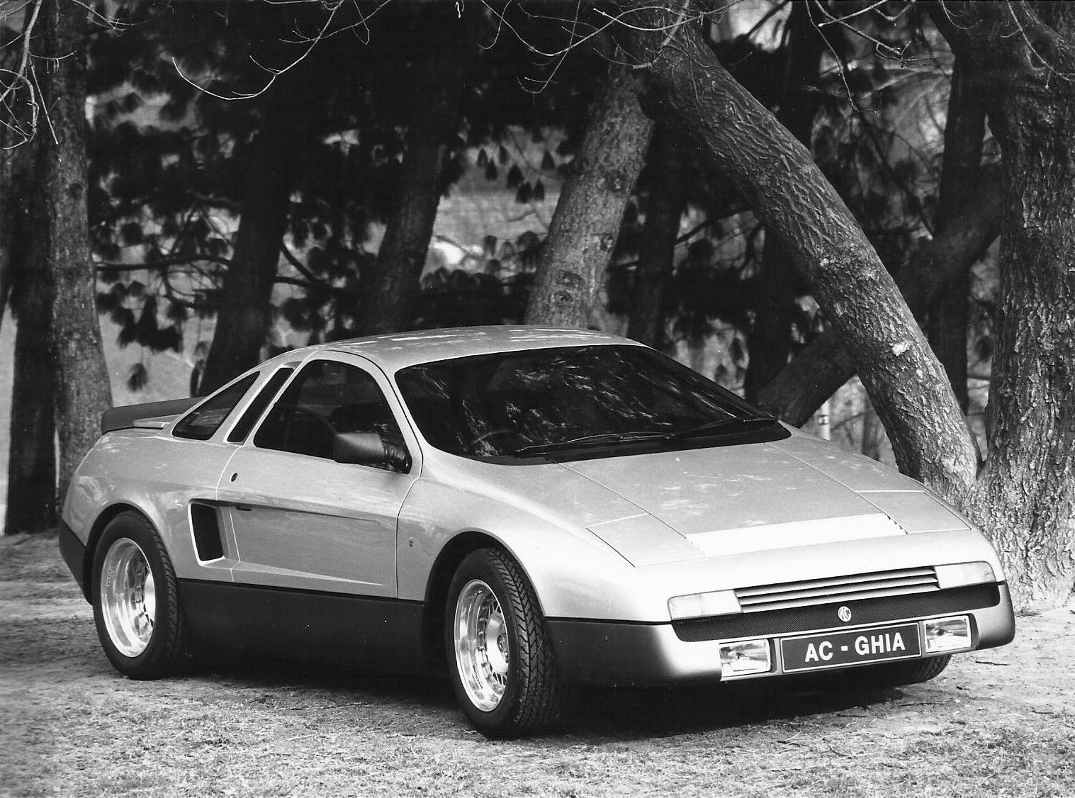 AC ME3000 (Ghia), 1981