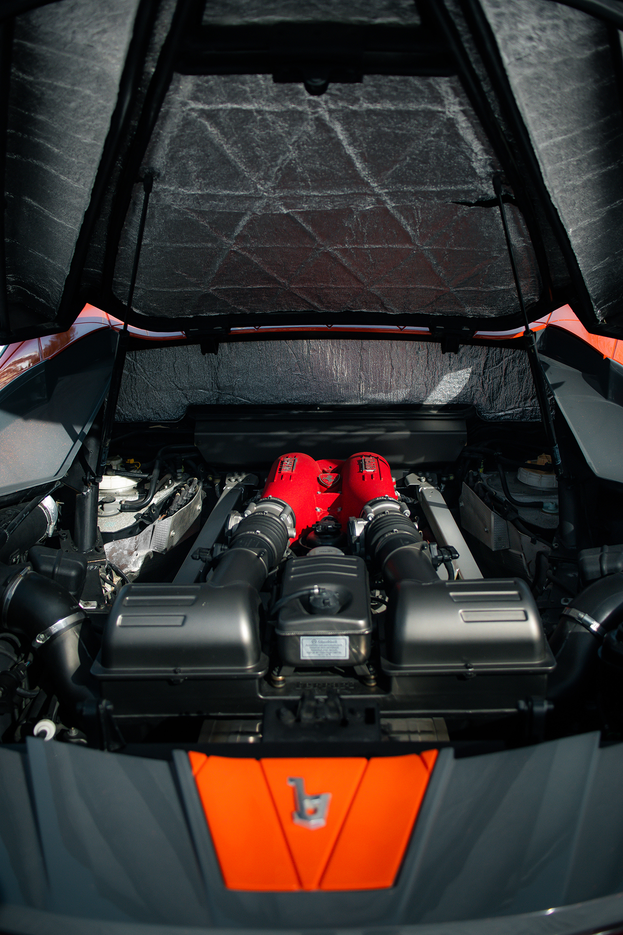 Bertone Nuccio, 2012 - Engine